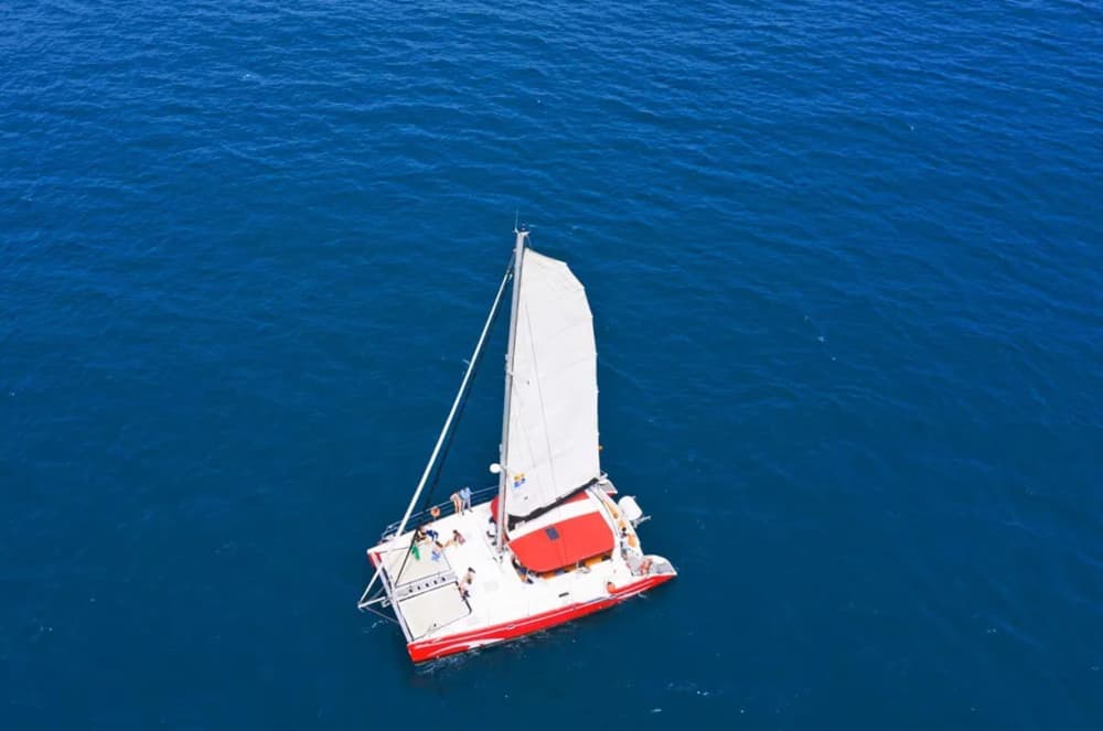 Goditi Barcellona dal mare: tour privato in catamarano