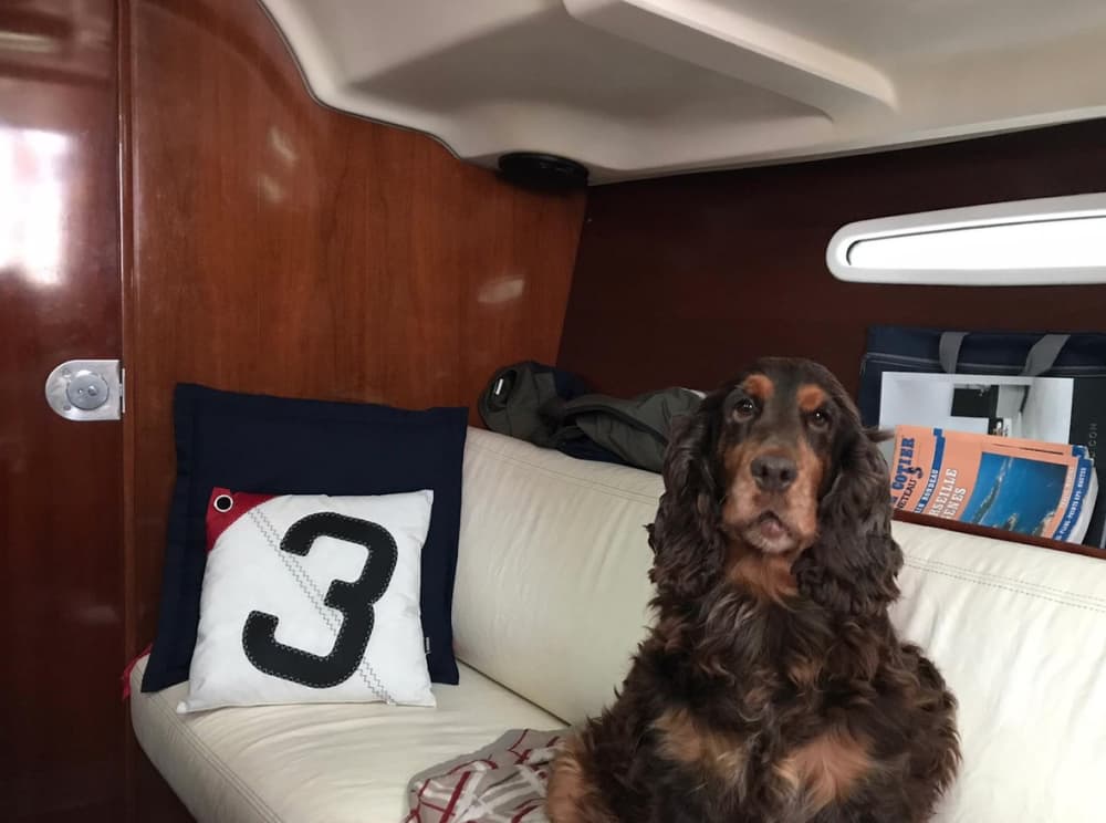 Viaje privado en velero de 7 horas en Nieuwpoort