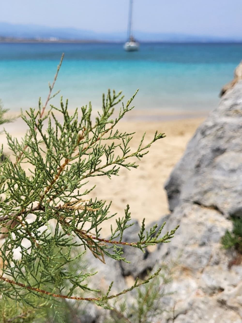 Однодневное парусное приключение на лодке «Авра»
Из
Венецианской гавани Ханьи
3 остановки для купания
До 4 человек