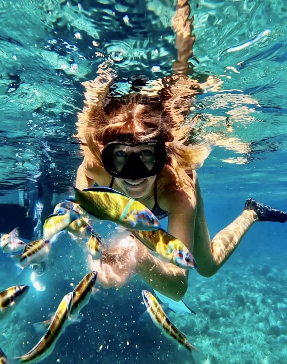 Tour Esclusivo in Barca a Vela a Tropea - Mezza Giornata