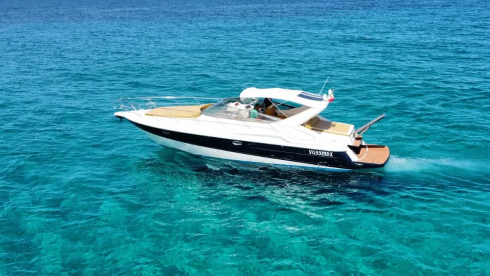 Uchwyć istotę Favignany z pokładu łodzi