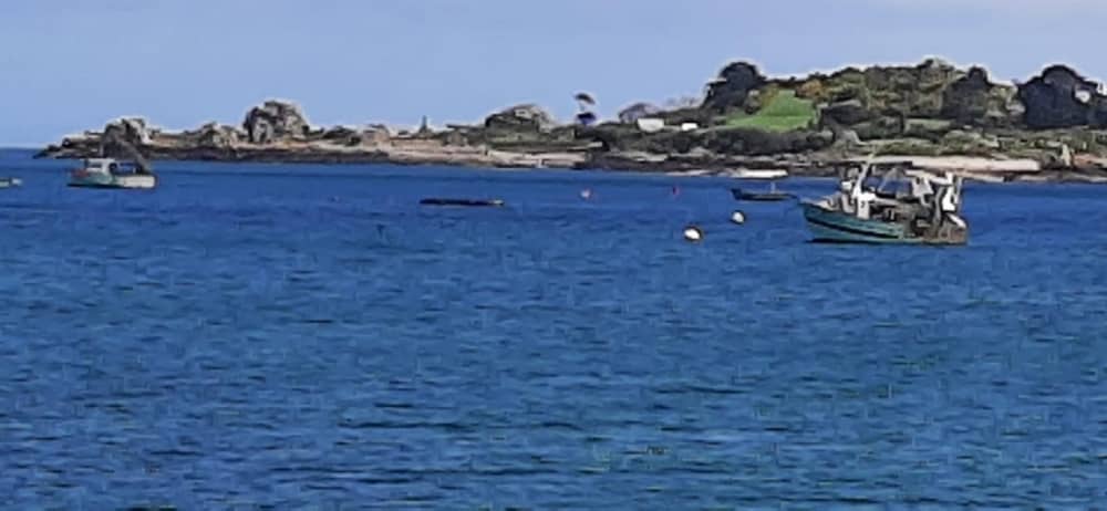 Excursion d'une demi-journée à Paimpol en bateau à moteur