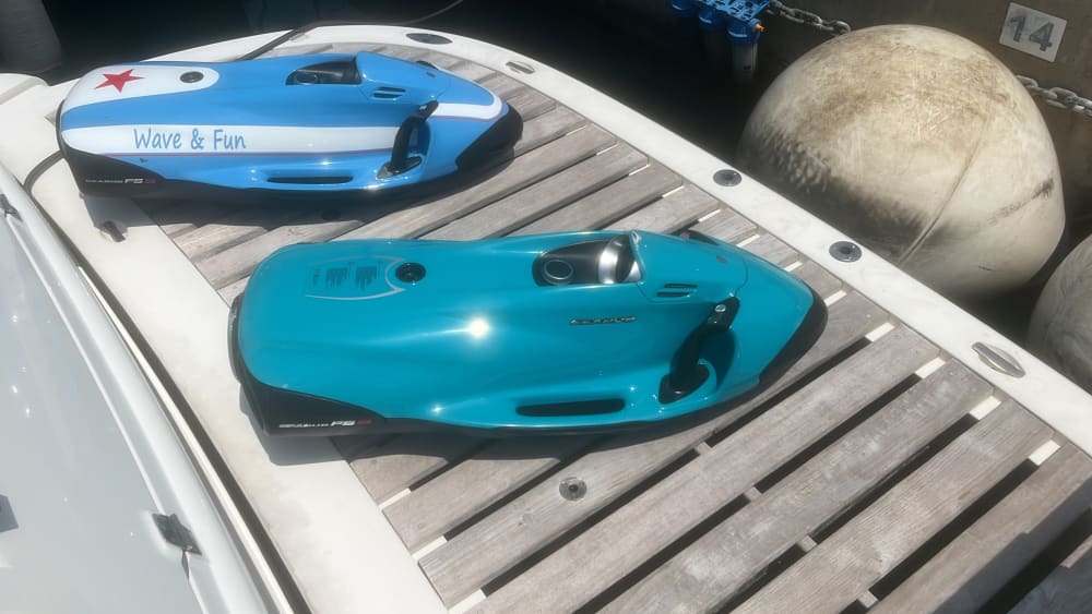 Descubre las costas de Saint-Tropez: Una excursión de un día completo a bordo de una lancha motora.