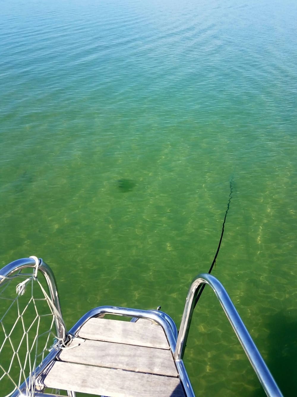 Njut av en dag till sjöss i La Rochelle på en segelbåt