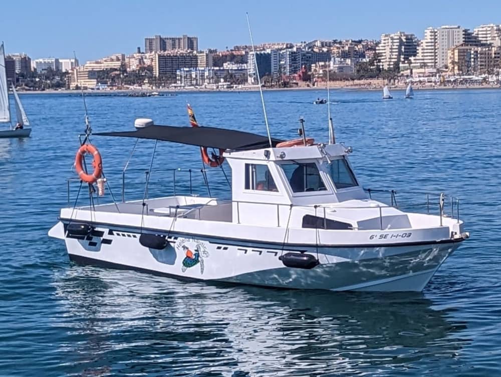 STWÓRZ SWOJĄ CHWILĘ: PRYWATNA ŁÓDŹ: NAPOJE-PŁYW WIOŚLĄ-DELFIN-SNORKEL-WĘDKOWANIE 3 GODZINY