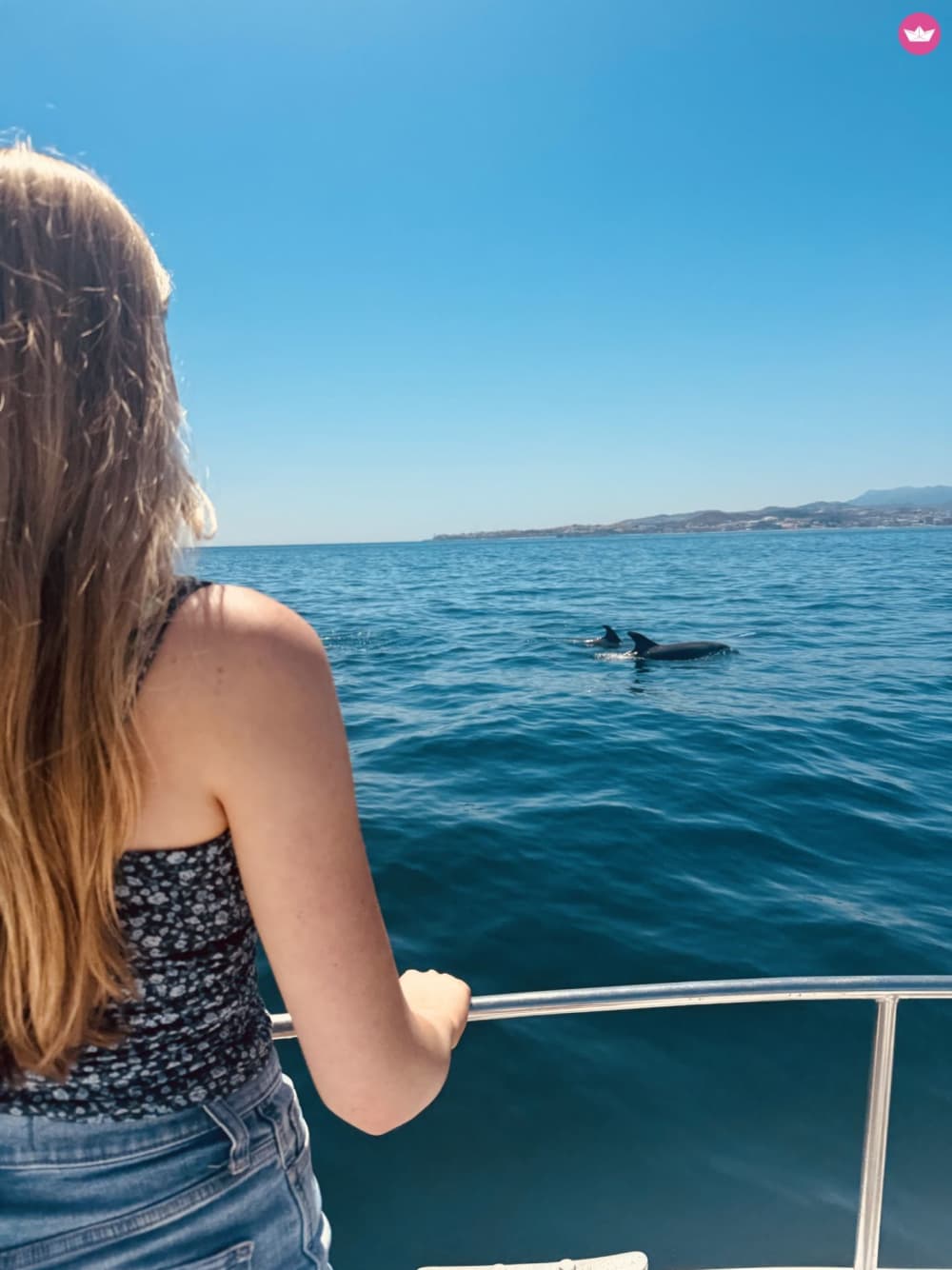 STWÓRZ SWOJĄ CHWILĘ: PRYWATNA ŁÓDŹ: NAPOJE-PŁYW WIOŚLĄ-DELFIN-SNORKEL-WĘDKOWANIE 3 GODZINY