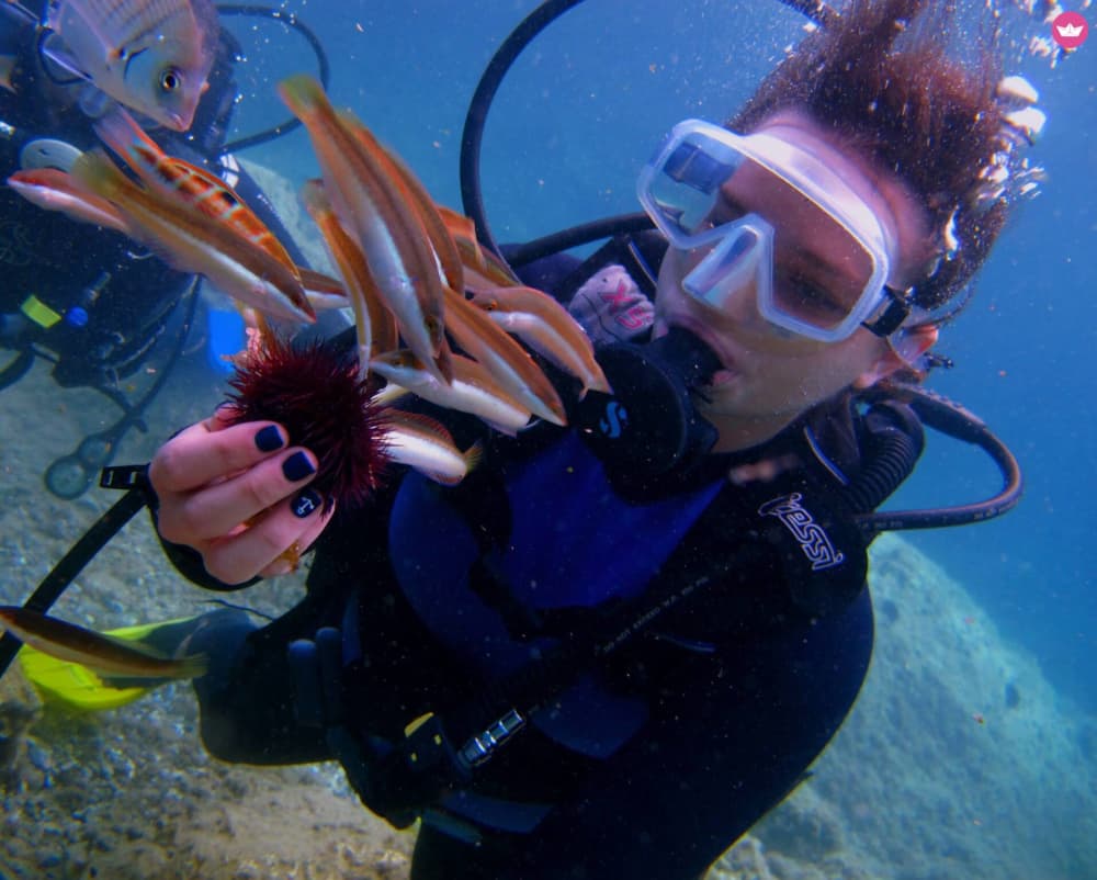 Undervattensunderverk: Expeditionen med sjunkna flygplan