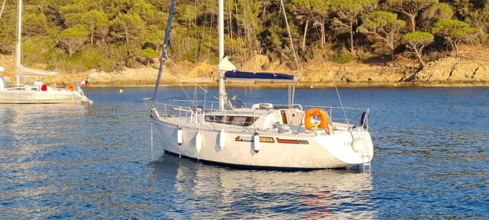 Croisière privée de 7h à Cavalaire-sur-Mer