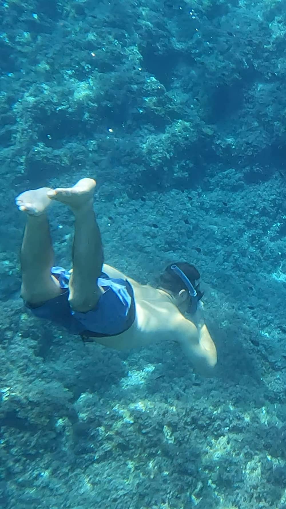 4-godzinny rejs łodzią Coastal Bliss z Puerto Portals