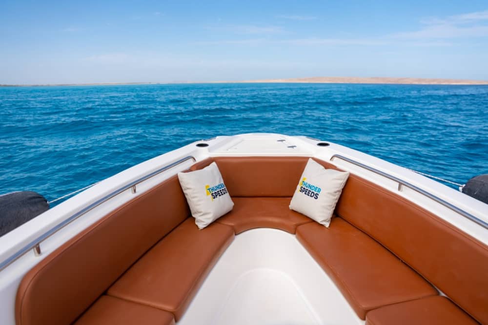 **Private Dolphin Discovery  on Thunder Speed - Euro 570**