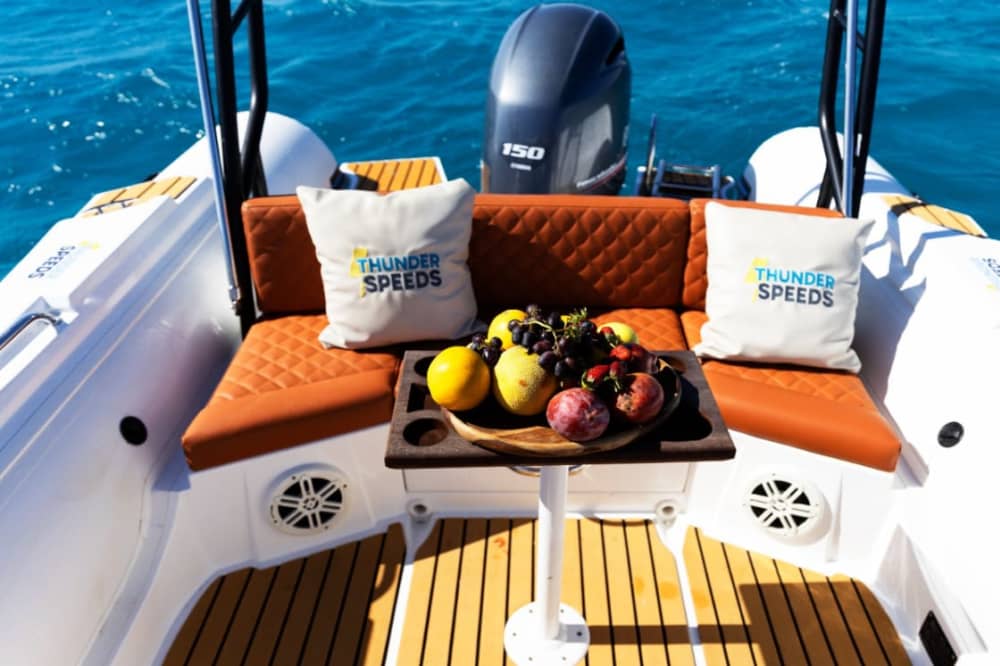 **Private Dolphin Discovery  on Thunder Speed - Euro 570**