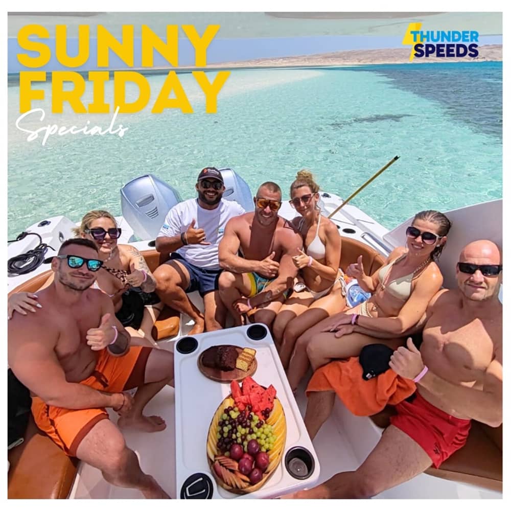 **Private Dolphin Discovery  on Thunder Speed - Euro 570**