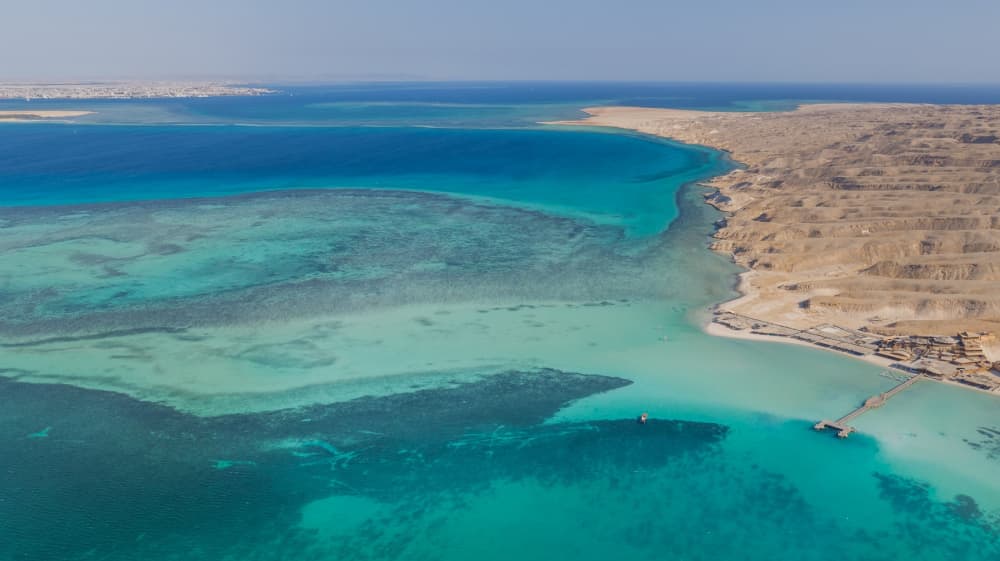 **Private Dolphin Discovery  on Thunder Speed - Euro 570**