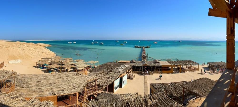 **Private Dolphin Discovery  on Thunder Speed - Euro 570**