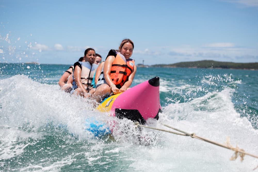 **Private Dolphin Discovery  on Thunder Speed - Euro 570**