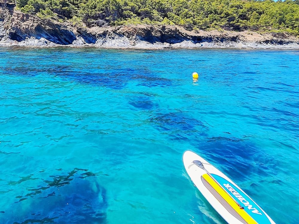 Scopri Canet-en-Roussillon a bordo di un catamarano per un'intera giornata.
