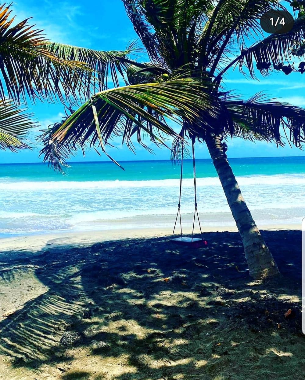 Scopri Canet-en-Roussillon a bordo di un catamarano per un'intera giornata.