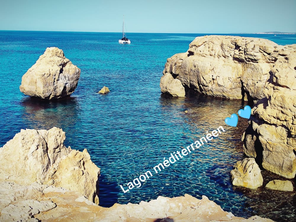 Scopri Canet-en-Roussillon a bordo di un catamarano per un'intera giornata.