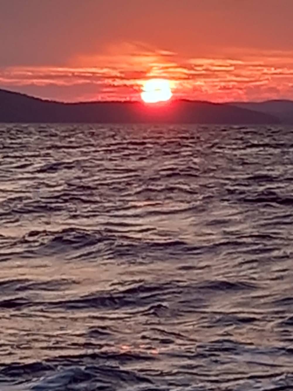 Adriatische ontsnapping – een privé-eilandervaring van een hele dag vanuit Zadar