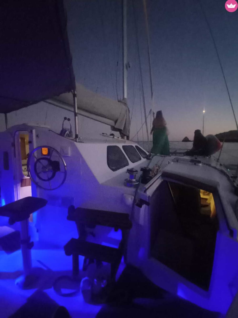 8h Algarve Catamaran Experience from Portimão