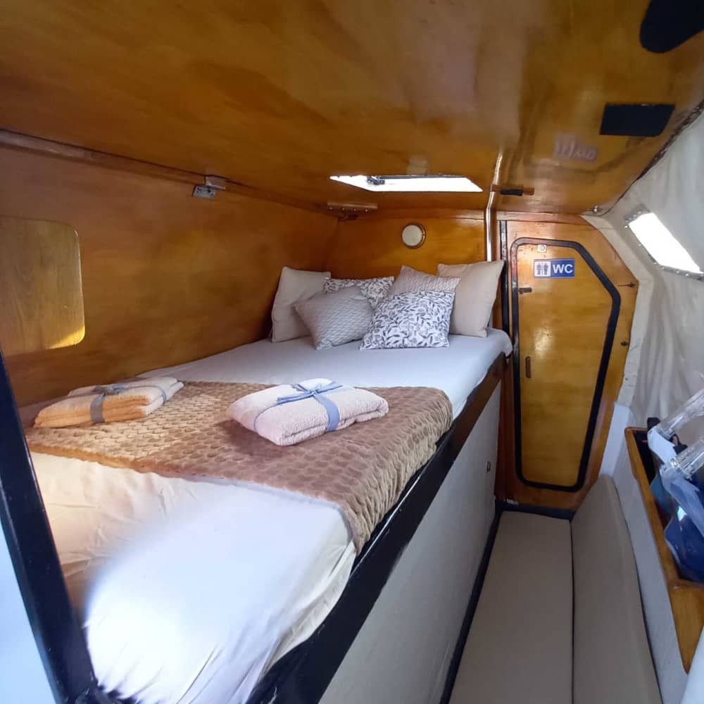 8h Algarve Catamaran Experience from Portimão