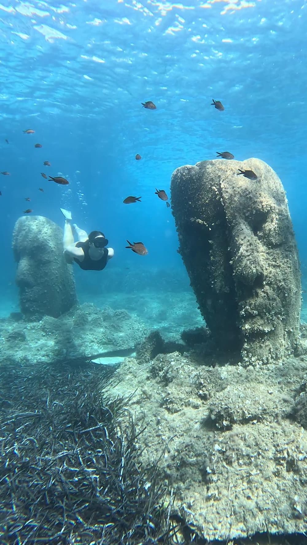 Half-day boat trip departing from Cannes