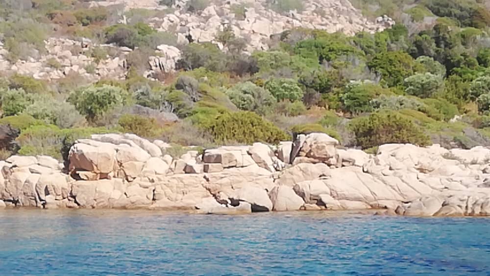 Au départ de Golfo Aranci, sur les traces des dauphins : une aventure de 2 heures pour adultes et enfants.