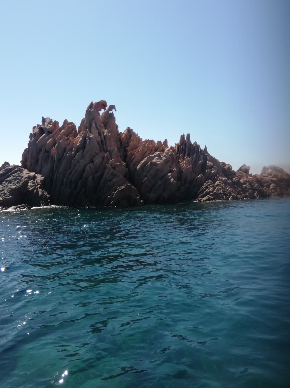 Au départ de Golfo Aranci, sur les traces des dauphins : une aventure de 2 heures pour adultes et enfants.