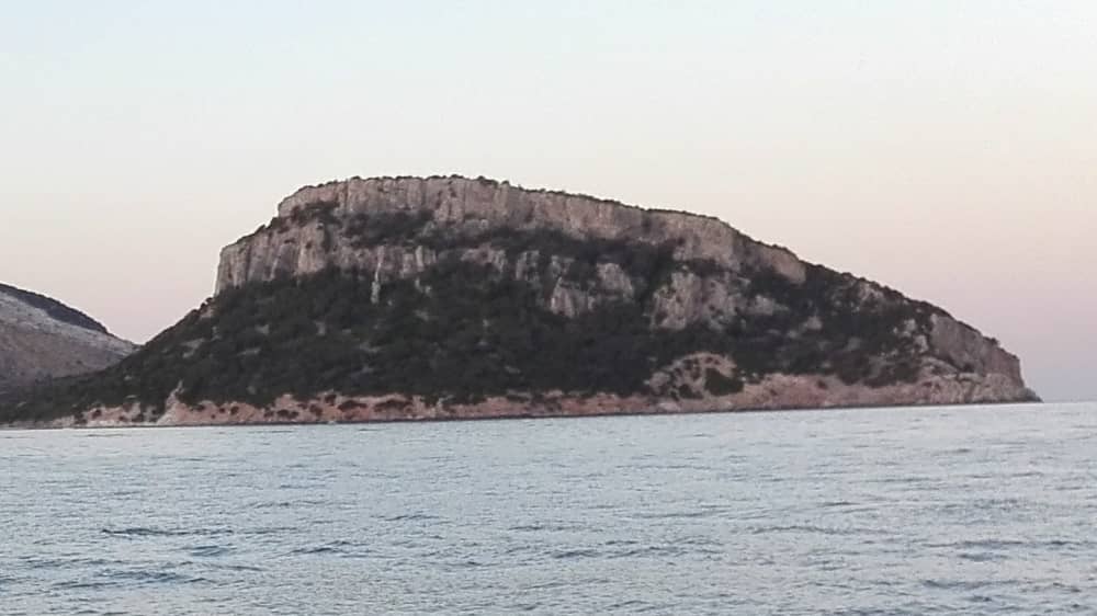 Au départ de Golfo Aranci, sur les traces des dauphins : une aventure de 2 heures pour adultes et enfants.