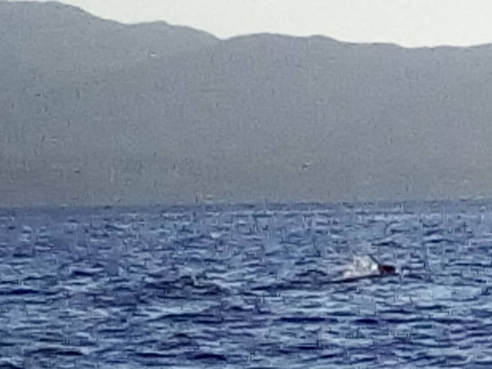 Au départ de Golfo Aranci, sur les traces des dauphins : une aventure de 2 heures pour adultes et enfants.