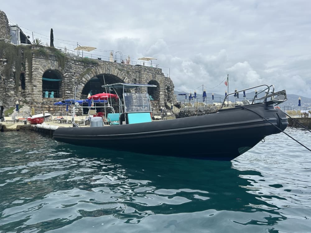 Una giornata a Portofino: goditi 9 ore di esplorazione a bordo di un motoscafo.