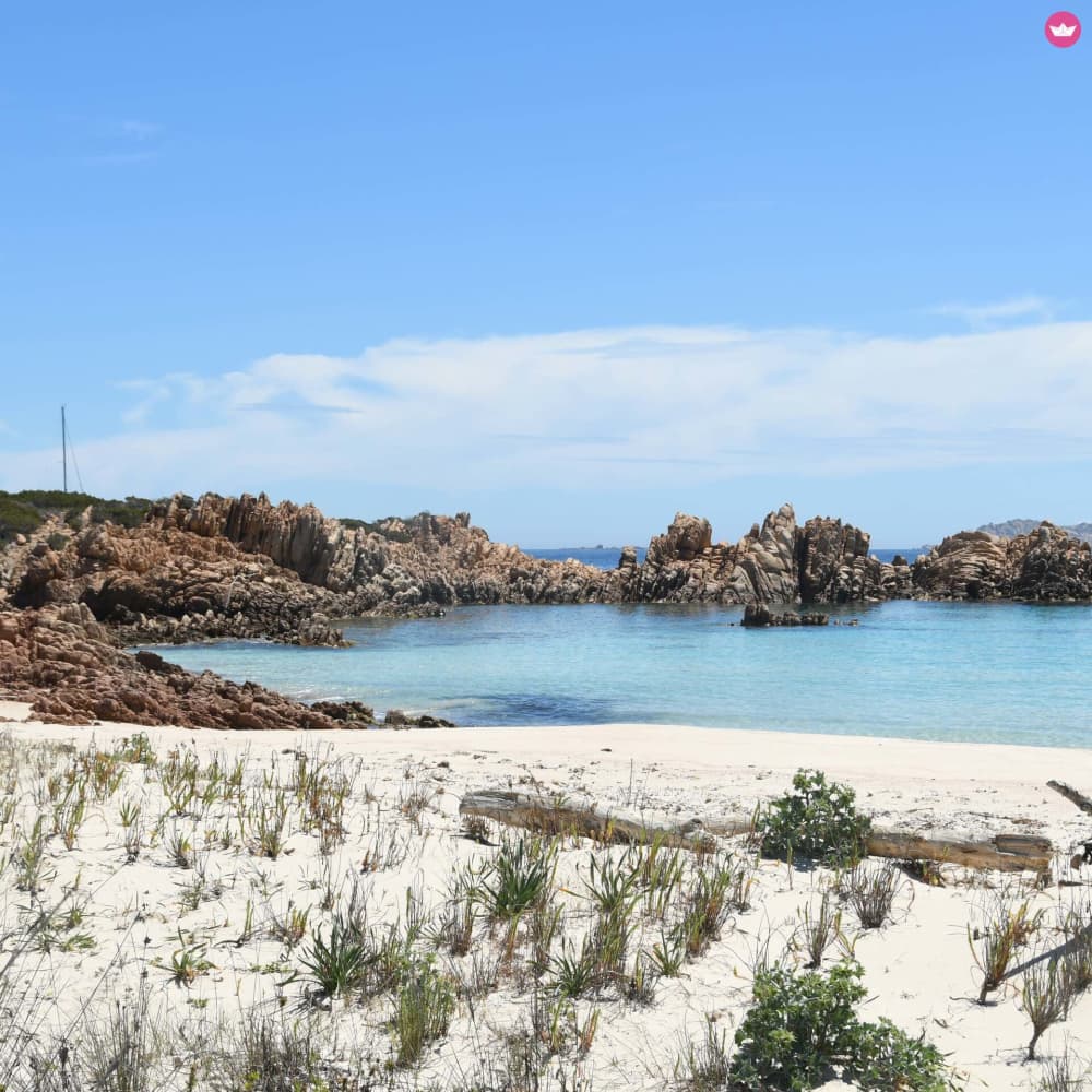 Escursione giornaliera verso la Corsica