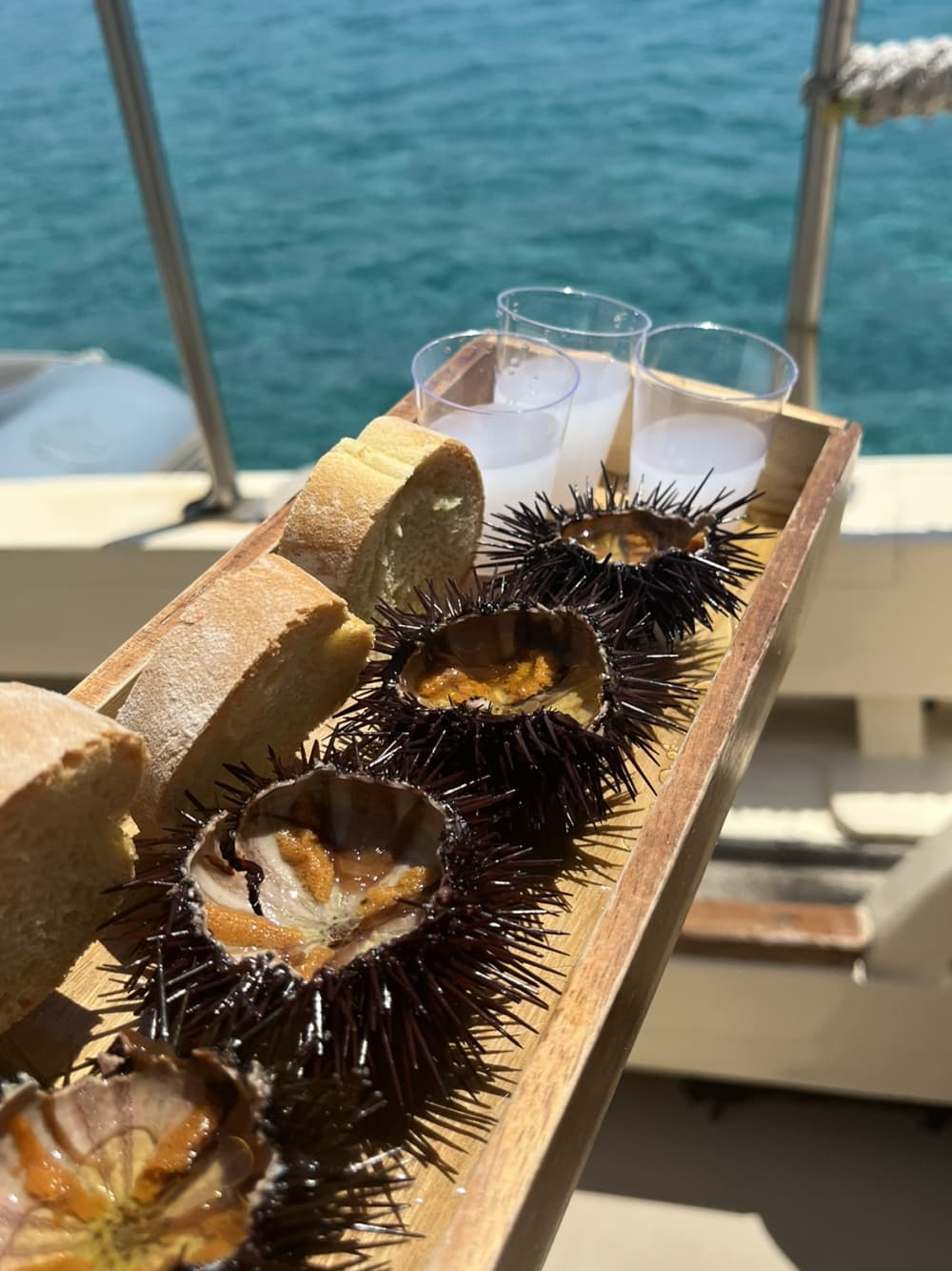 Ολοήμερη Ιδιωτική Κρουαζιέρα – Ανακαλύψτε τη Μύκονο, Κολυμπήστε, Γευτείτε & Χαλαρώστε