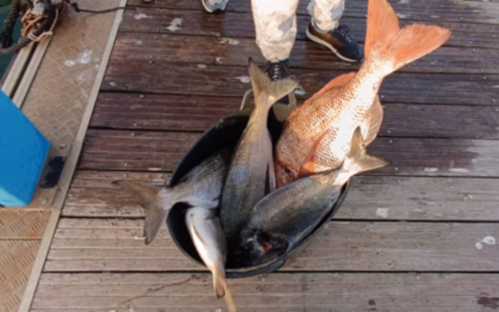 Passeio de Pesca Esportiva em Fuengirola 4 horas