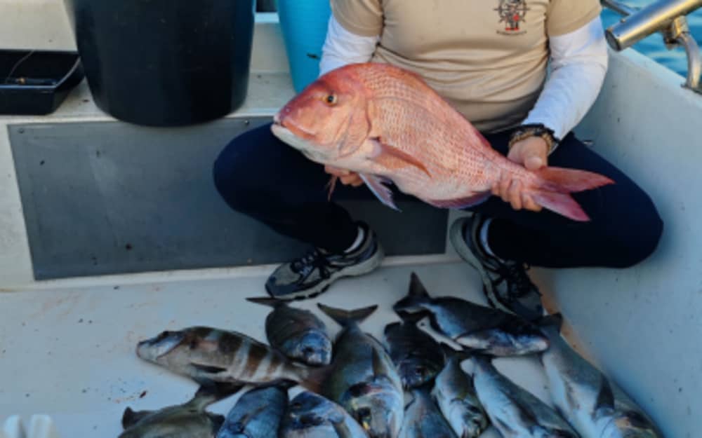 Passeio de Pesca Esportiva em Fuengirola 4 horas