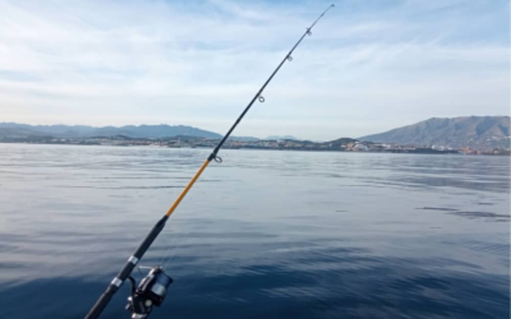 Passeio de Pesca Esportiva em Fuengirola 4 horas