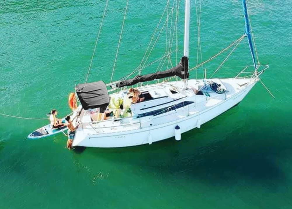 Half-day sailing and relaxation at sea