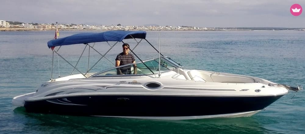 Quête des dauphins et charme côtier : croisière de 4 heures sur la Costa Blanca