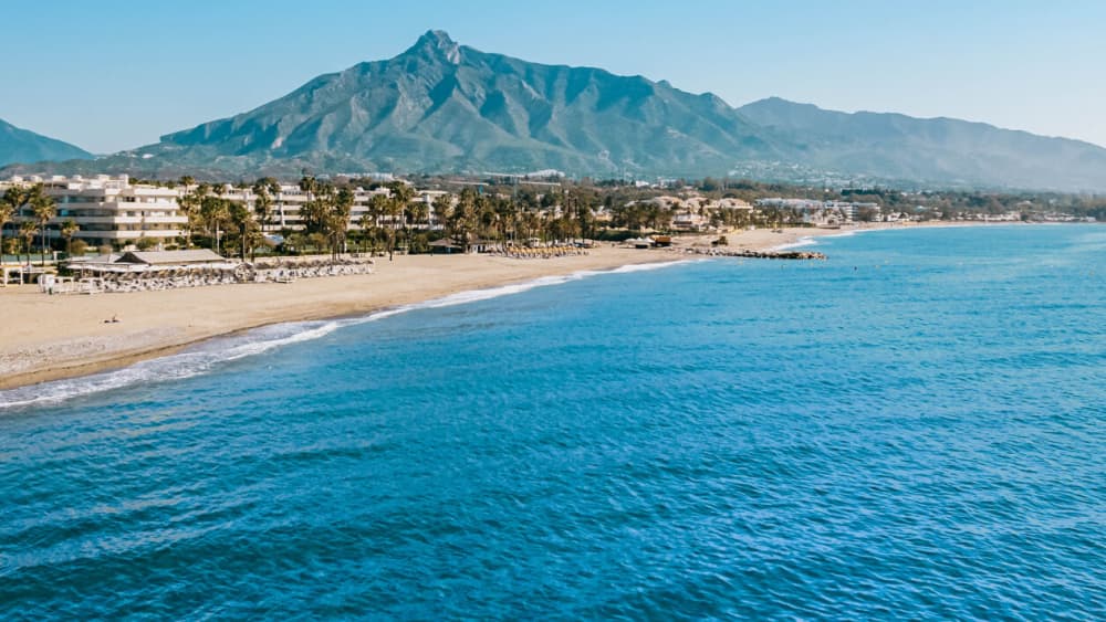 Quête des dauphins et charme côtier : croisière de 4 heures sur la Costa Blanca