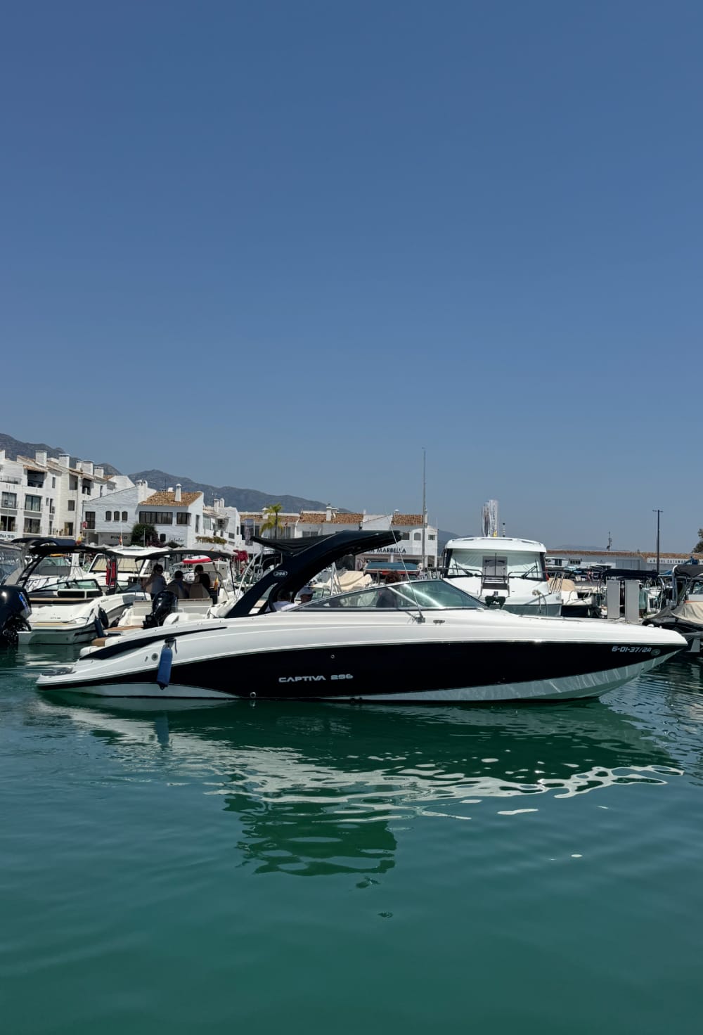 2-Hour Coastal Getaway: Dolphin Chase & Costa Blanca Breeze