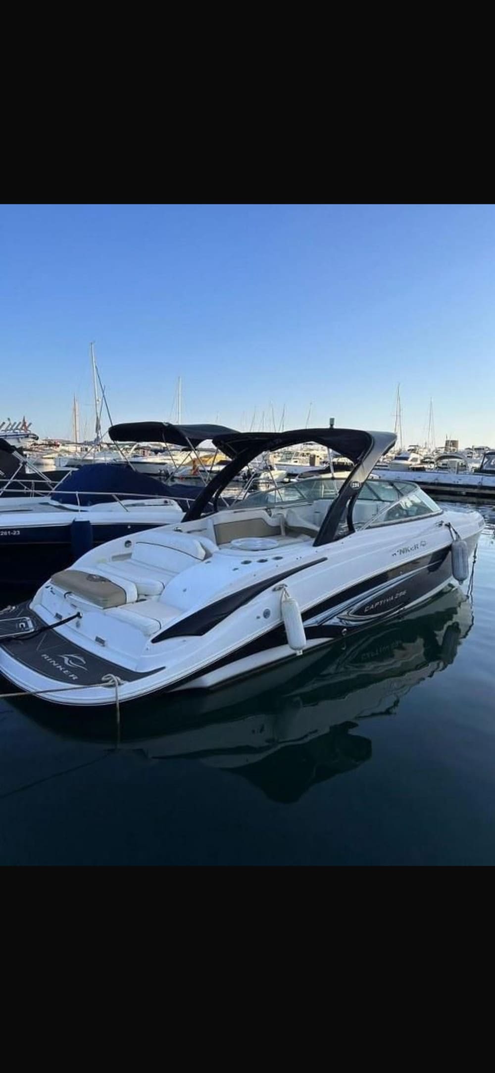 Dolfijnenzoektocht & kustcharme: 4 uur durende cruise aan de Costa Blanca