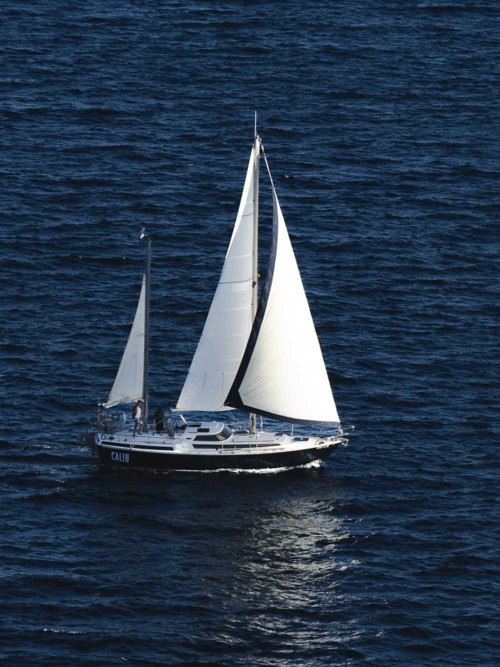 Pon rumbo a la alegría: Un día completo de navegación auténtica en Formentera a bordo de un velero.