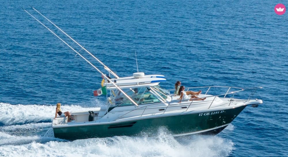 Genießen Sie ein erstklassiges Meereserlebnis in Nizza