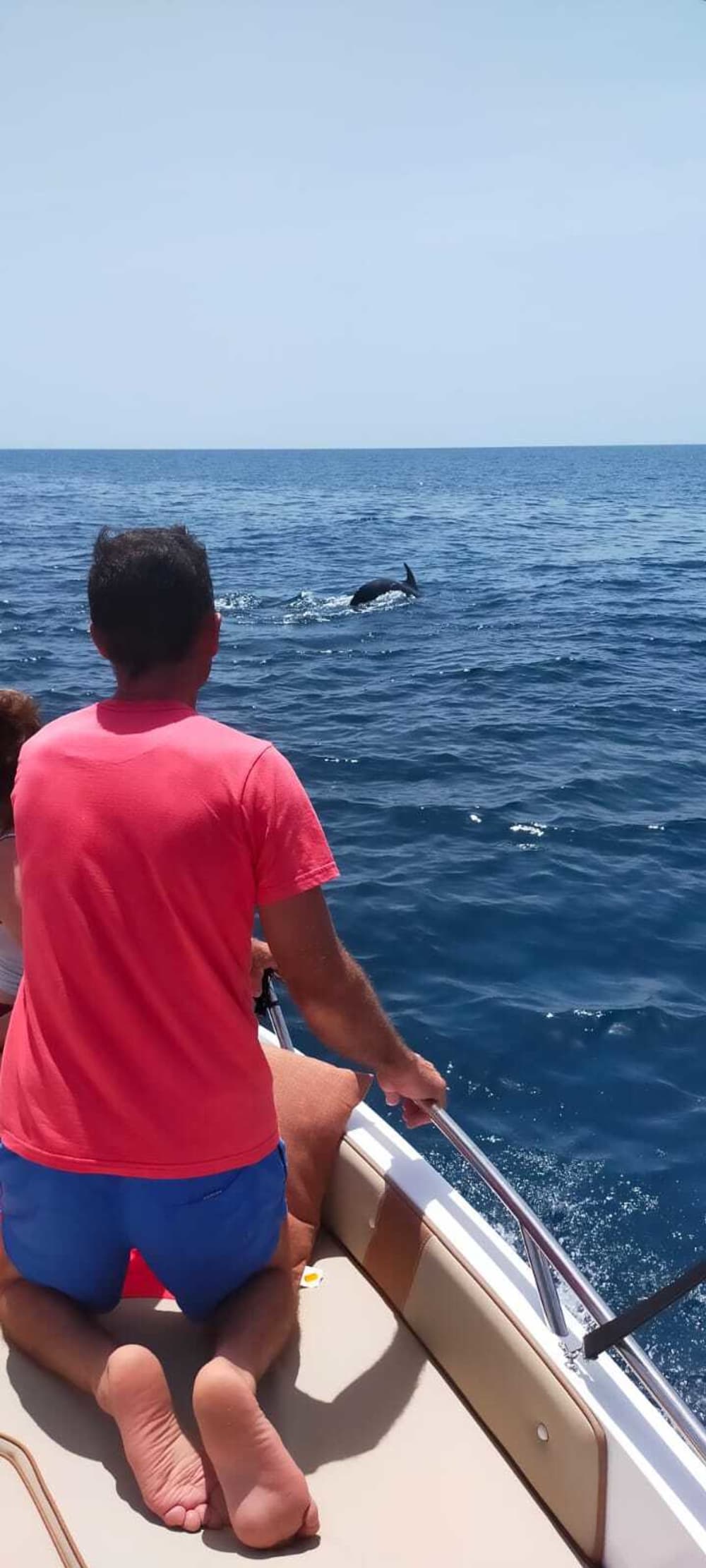 Fuengirola çevresinde bir gün: Motorlu tekneyle 5 saat 15 dakikalık keşif yolculuğunun tadını çıkarın.