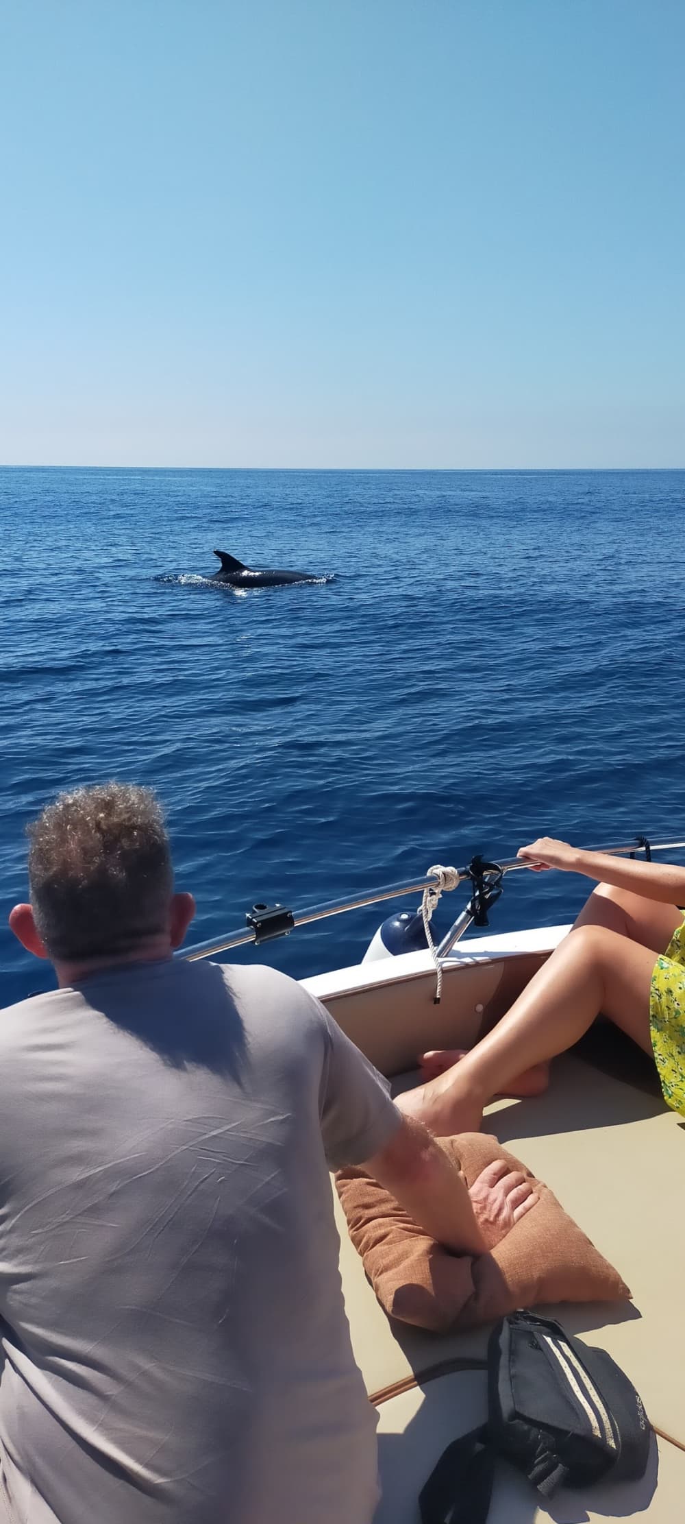Un día en los alrededores de Fuengirola: Disfrute de 5 horas y 15 minutos de descubrimiento en lancha motora.