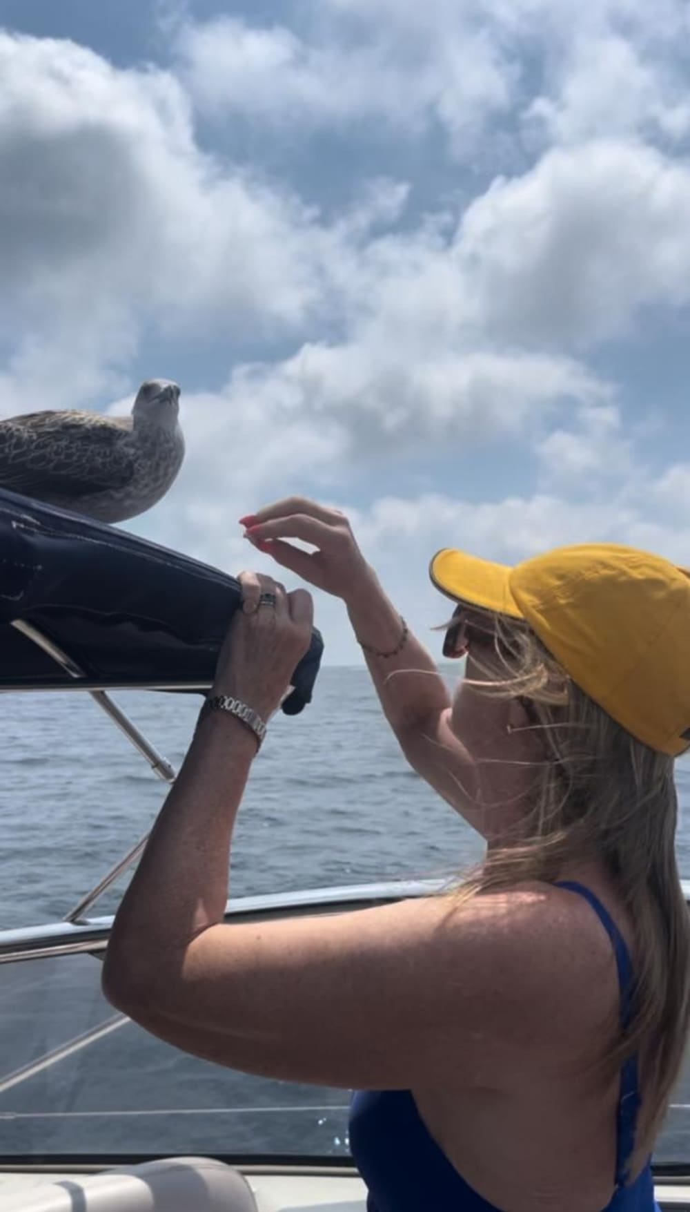 Halvdags drömresa från Saint-Tropez och omegn – all inclusive