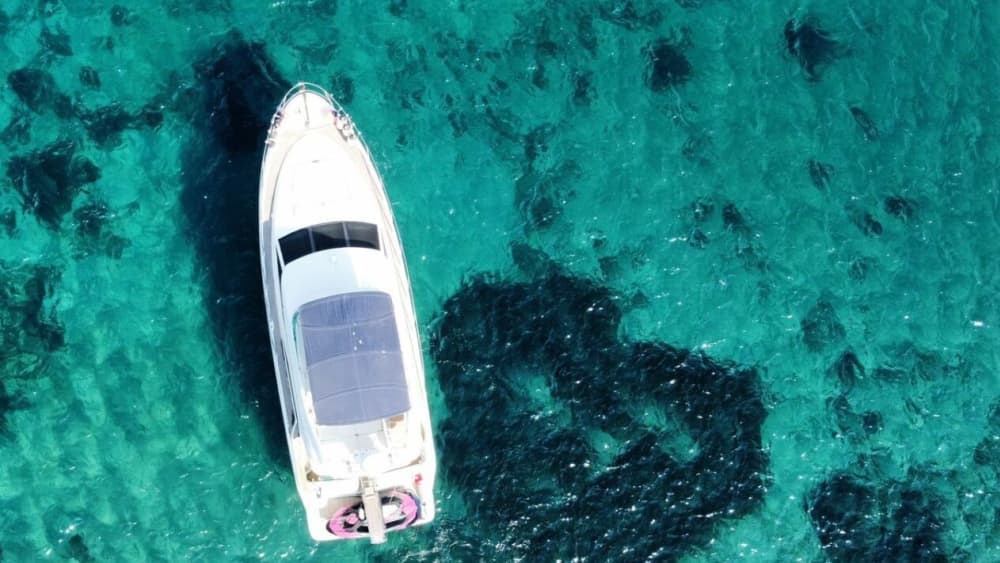 Hele dagtour - Yalikavak