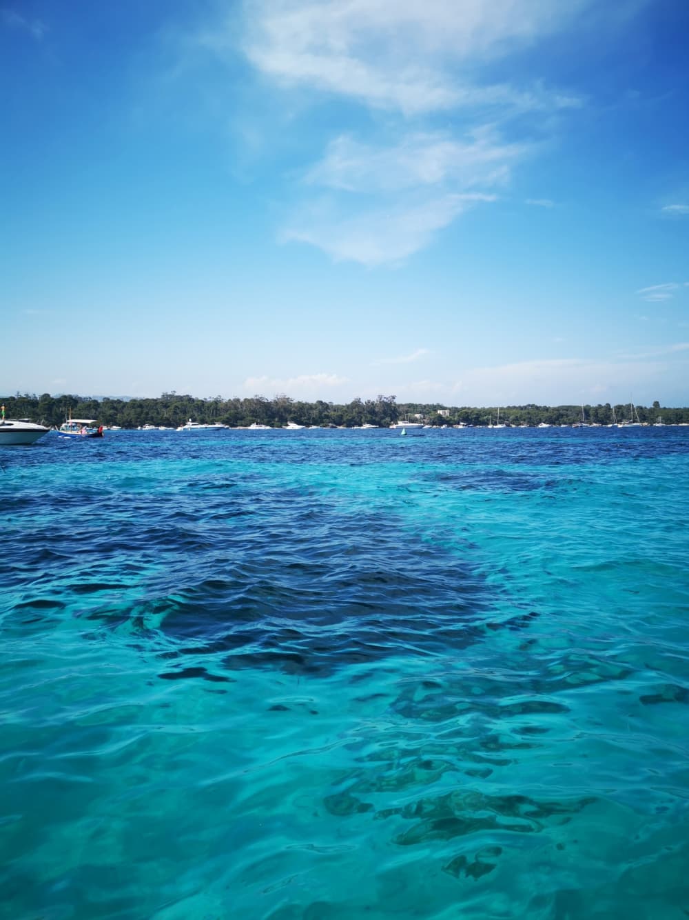 Njut av 3 timmar och 30 minuter av solsken på en motorbåt i Golfe Juan