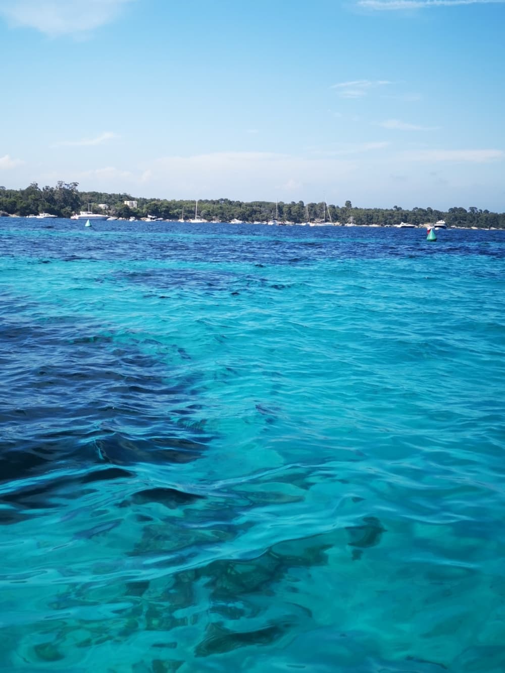 Njut av 3 timmar och 30 minuter av solsken på en motorbåt i Golfe Juan