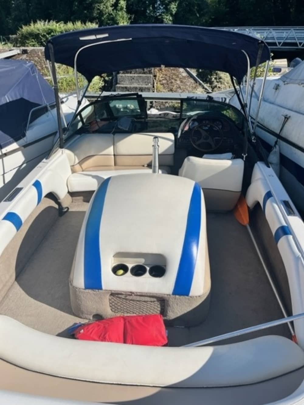 Dedica mezza giornata al relax su un motoscafo a Viviers-du-Lac.